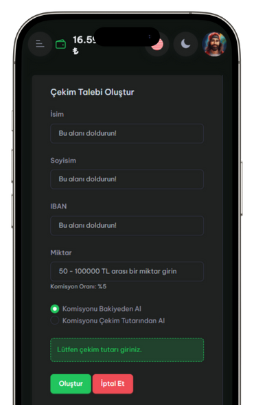 PayBayi App Interface